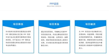 PPP咨询服务 专业信息咨询服务的价值与未来